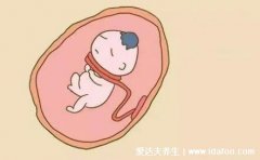 16岁怀孕怎么自己处理，用验孕棒或去医院看