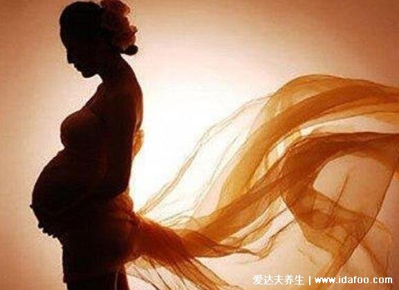 NT三个亮点是男孩女孩,3个亮点男孩/3条线女孩(双腿间)