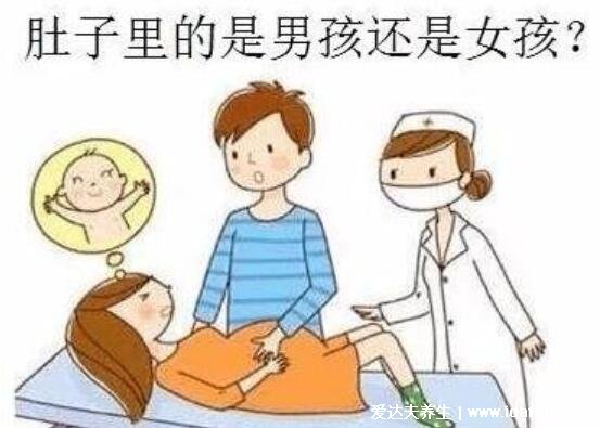 NT三个亮点是男孩女孩,3个亮点男孩/3条线女孩(双腿间)