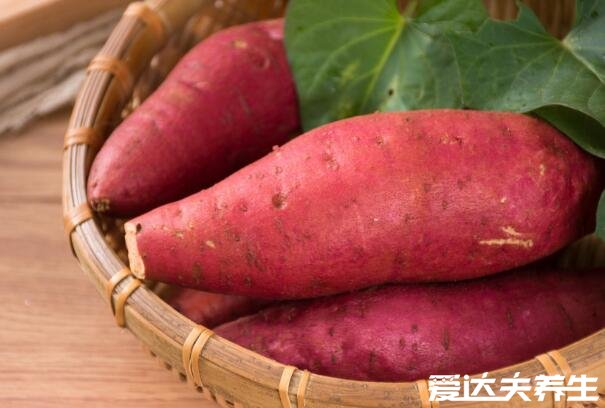 鸡肉不能和什么一起吃,鲤鱼/糯米/红薯/兔肉/菊花