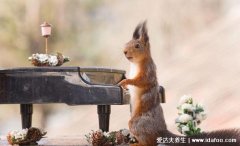 焦虑症其实很简单治愈，增强自信是治愈的