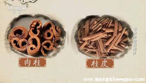 螨虫的克星是什么,螨虫最怕这3种东西(青花椒/艾草/肉桂)