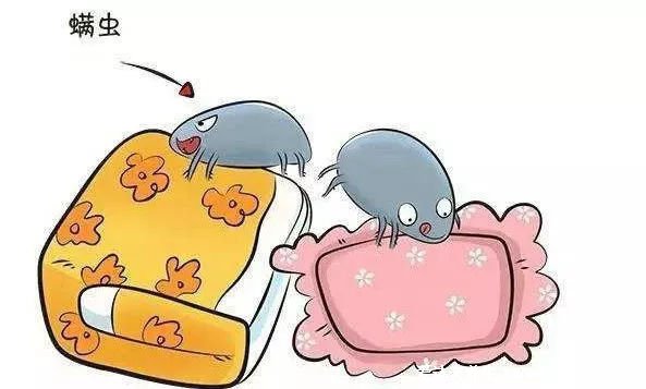 螨虫的克星是什么,螨虫最怕这3种东西(青花椒/艾草/肉桂)