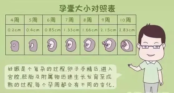其实看孕囊很准,观察b超数据/孕囊大小(孕囊可看胎儿是否正常)