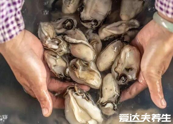生蚝不能吃的部位图解,外壳不能吃/内脏团很脏不建议吃