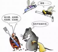 四害是指哪4种有什么害处,苍蝇/蚊子/老鼠