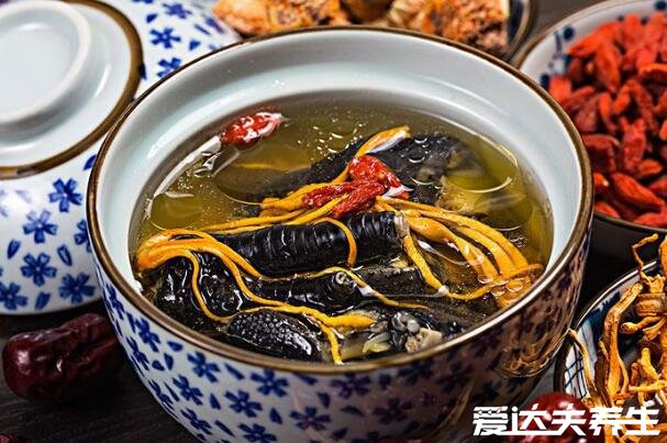 乌鸡汤怎么炖最有营养,刚杀的活鸡先冷冻再焯水/冷水下锅(5个细节)