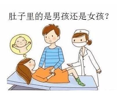 小方法知道自己怀的男孩女孩,胎心/肚型看男女等5种身体表现