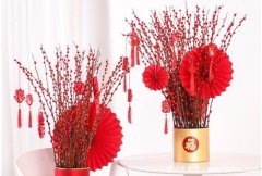 银柳的花语和寓意图片，向往光明自由/招财