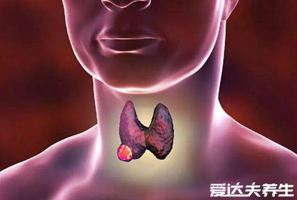 最难治的三大癌症,胰腺癌(癌中之王)/肝癌/胃癌