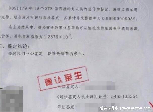 2人亲子鉴定需要多少钱,3-6千不等有3种鉴定方式