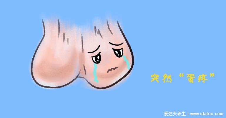 3种类型的阴囊湿疹图片,阴囊发红肿胀伴随瘙痒要小心