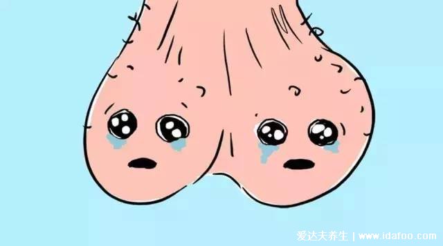 3种类型的阴囊湿疹图片,阴囊发红肿胀伴随瘙痒要小心