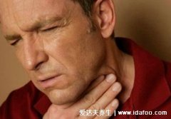 治疗咽喉炎的三大克星,罗汉果/胖大海/梨