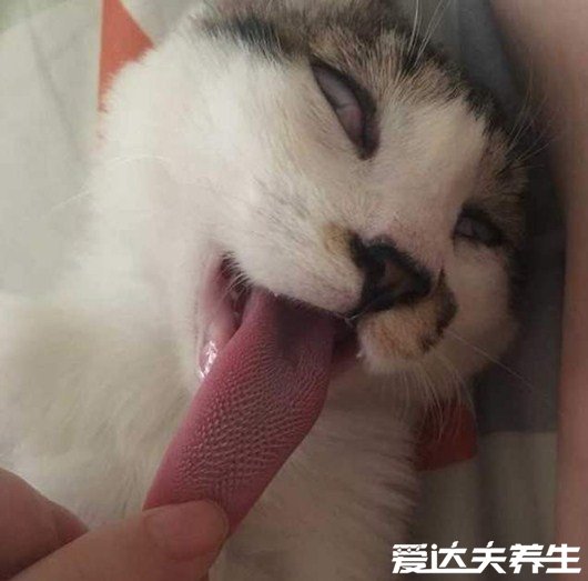 5种打嗝最快方法止嗝,打一个喷嚏立刻就能好