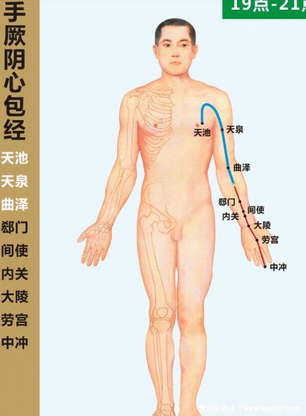 6条人体手上经络图,刮一刮手指就有全身保健的效果