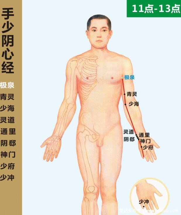 6条人体手上经络图,刮一刮手指就有全身保健的效果