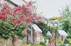 20个高情商发圈被秒赞的句子，简短精辟直击