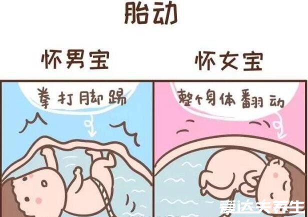 100%生女儿的症状,孕妇会变漂亮且孕早期反应大(附怀男孩的特点)