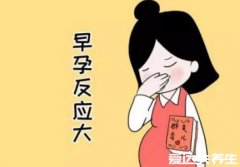 100%生女儿的症状，孕妇会变漂亮且孕早期反