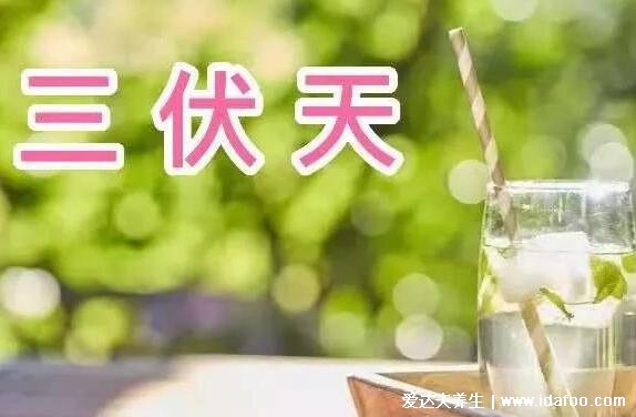 2021什么时候入伏,三伏天从什么时候开始(7月11开始长达40天)