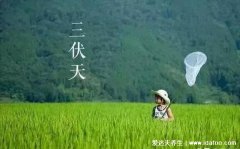 2021什么时候入伏，三伏天从什么时候开始