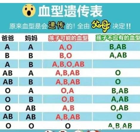 ABO血型遗传规律表,都是A型孩子不会是B型血(一眼就能判断)