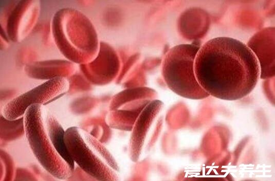 b型血为什么叫贵族血,反应快智商高天生优越