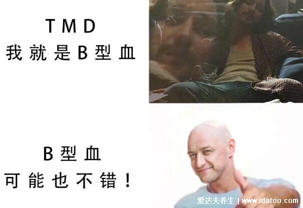 b型血为什么叫贵族血,最健康免疫系统最强的血型(智商高反应快)