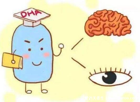 dha什么时间吃效果最佳时间什么时候吃最好,孕20周后到出生后6个月内