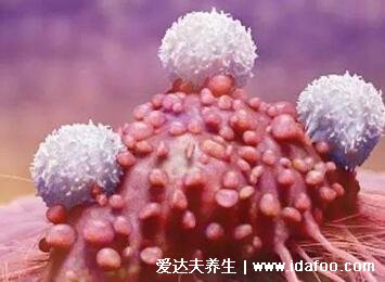 癌症就是一个人类骗局,4点就可以证明(癌症药物也可能致癌)