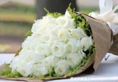 白玫瑰不能随便送人，适合送喜欢的人和亲