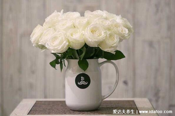 白玫瑰不能随便送人,象征纯洁美好的爱情但有一丝悲伤
