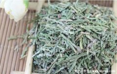 侧柏叶的功效与作用禁忌，泡酒之后外涂治
