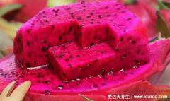 吃什么能立马通大便，便秘最怕9种水果(附催