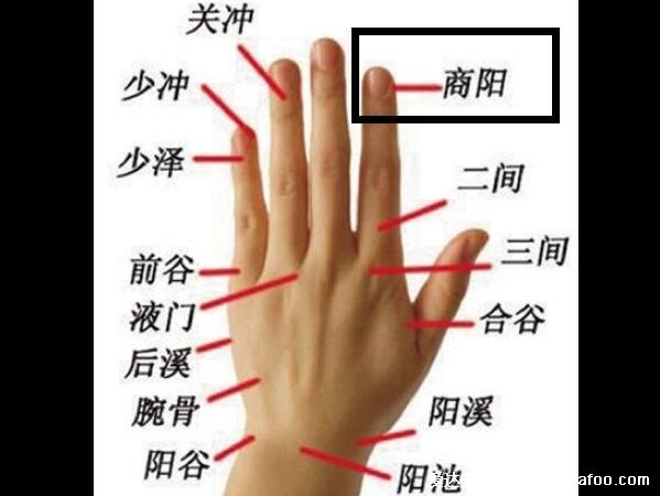 吃什么能立马通大便,便秘最怕9种水果(附催便的方法5分钟见效)