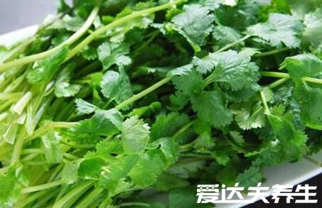 冬瓜木耳香菜汤可以减肥吗,冬瓜木耳香菜汤减肥原理介绍