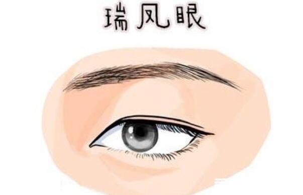 二十种眼形大全图解,第十种葡萄眼眼型最完美漂亮