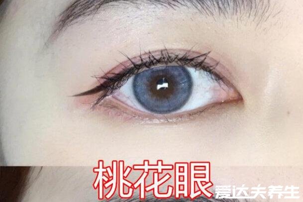 二十种眼形大全图解,第十种葡萄眼眼型最完美漂亮
