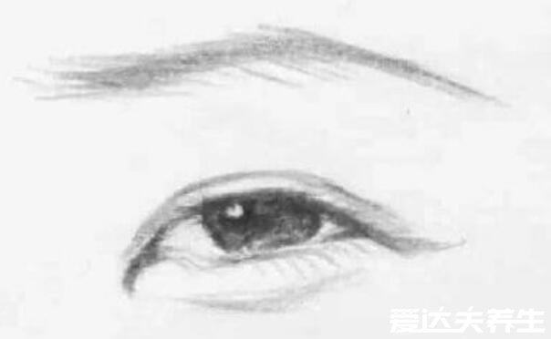 二十种眼形大全图解,第十种葡萄眼眼型最完美漂亮