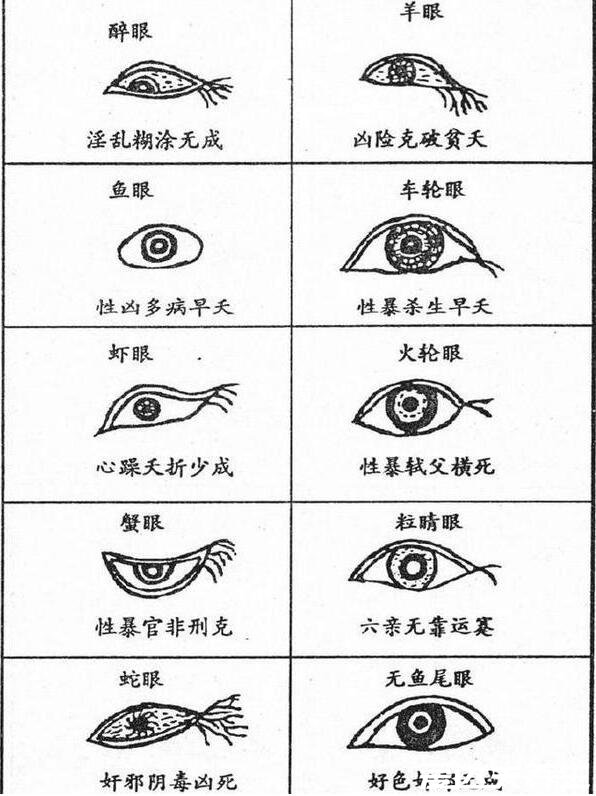 二十种眼形大全图解,第十种葡萄眼眼型最完美漂亮