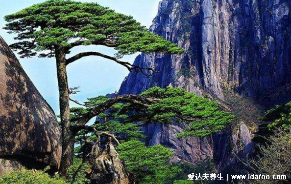 坟墓前最怕放什么东西,4样东西长期摆放在坟前破坏风水