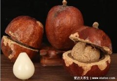 佛心果是什么树的果实，又叫菩提子是无患