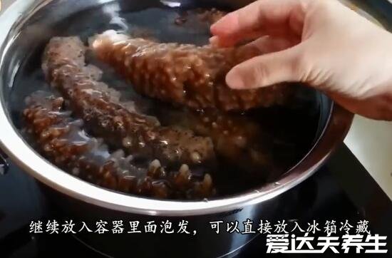 干海参泡发的正确方法,一共5步用纯净水泡发是关键(附步骤图)