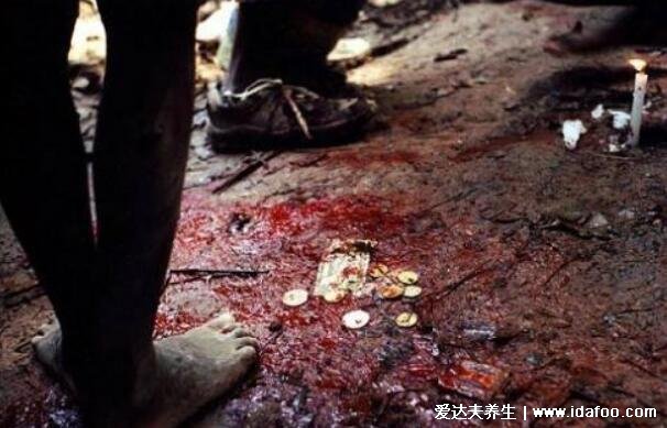 割礼是割女性什么部位，割礼的意义是什么(残忍割掉外生殖器)