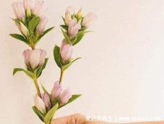 隔着屏幕哄男生的方法，不要只发文字了(