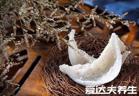 官燕和燕窝的区别,不止品相营养价值也有差别