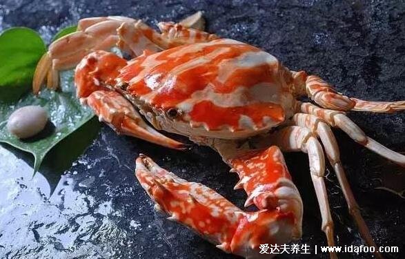 海边十种最常见的螃蟹,国内常见的蟹类大全图片