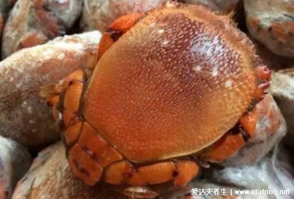 海边十种最常见的螃蟹,国内常见的蟹类大全图片