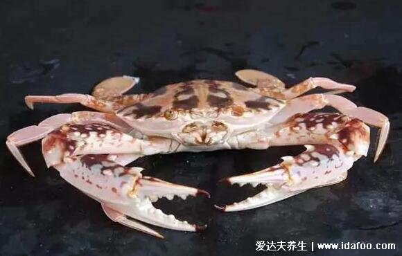 海边十种最常见的螃蟹,国内常见的蟹类大全图片
